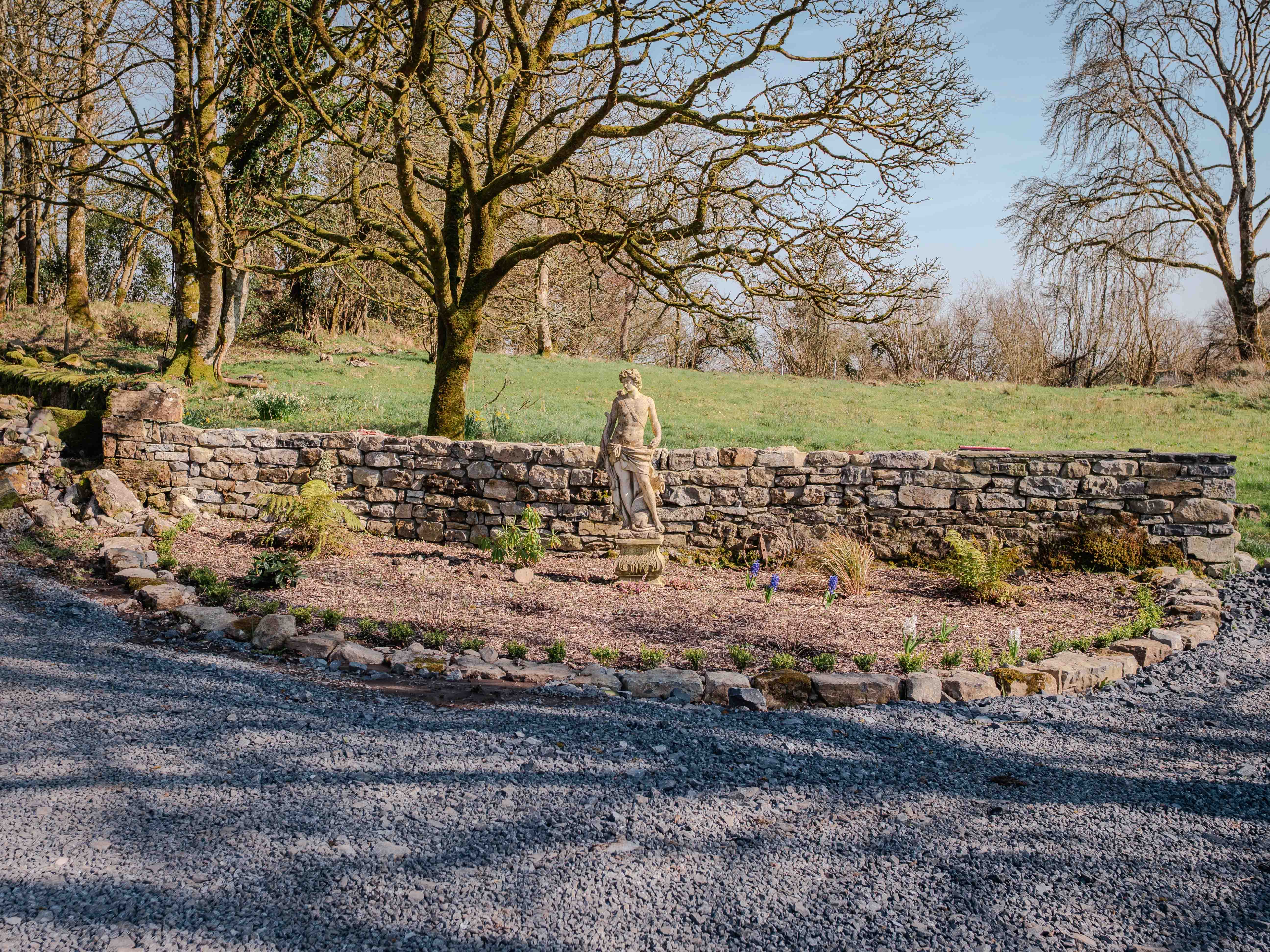 The 41-acre grounds at Ballinderry Park — room for dogs to roam