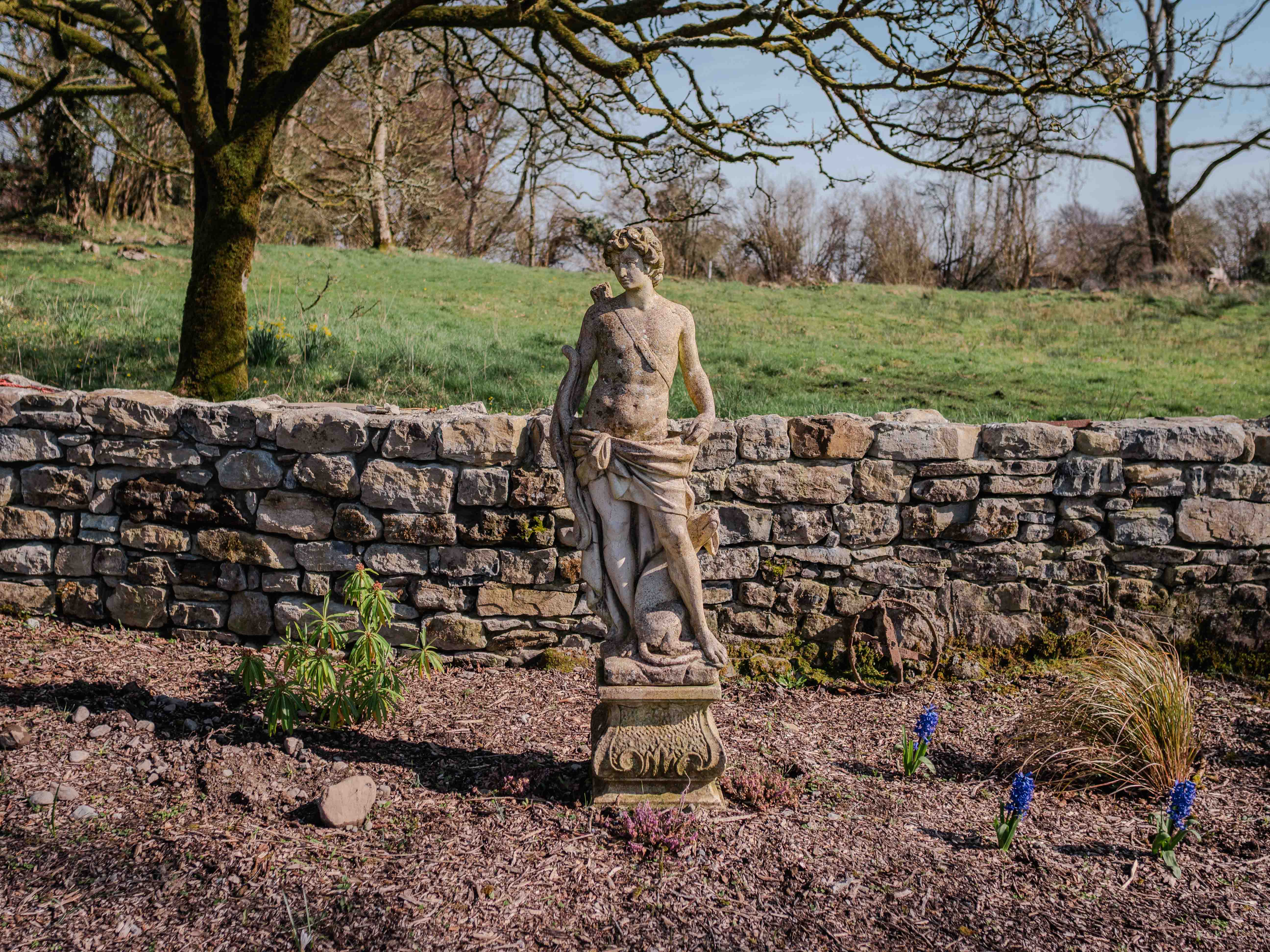 Garden and grounds